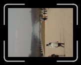 DSC00299 * 2048 x 1536 * (1.22MB)
